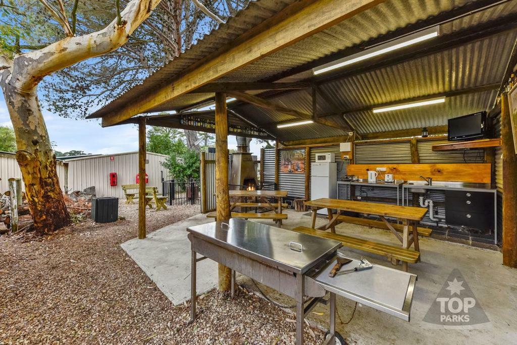 Millicent Hillview Caravan Park Ngoại thất bức ảnh